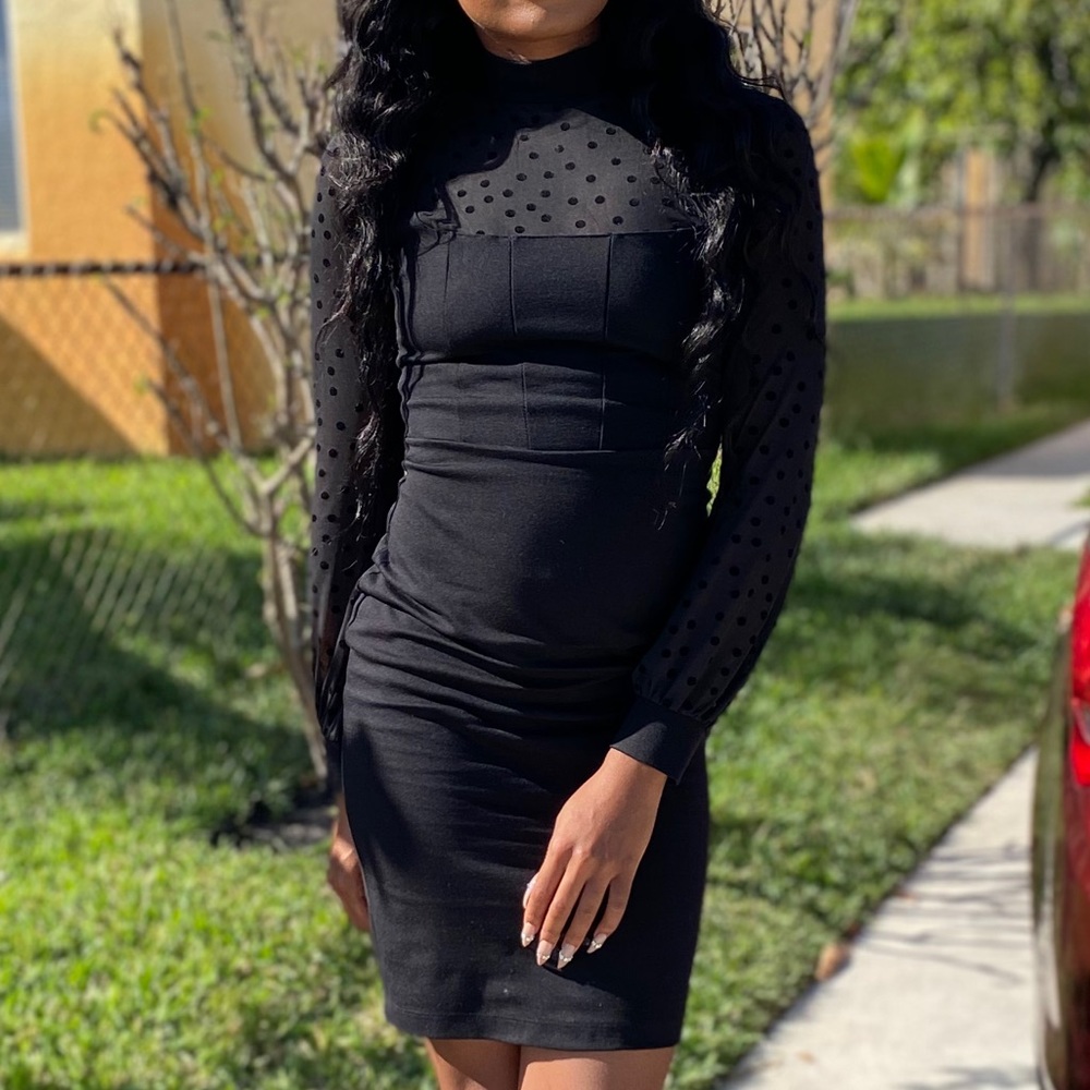 Long Sleeve, Polka Dot Mesh Dress/Black